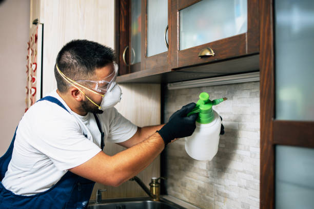 Best Flea Control Services  in East Ithaca, NY