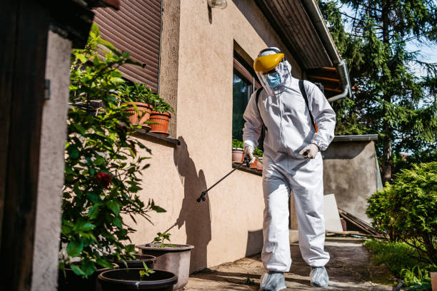 Wasp Removal Services in East Ithaca, NY