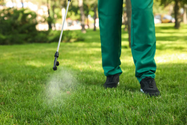 Best Best Pest Control Companies  in East Ithaca, NY