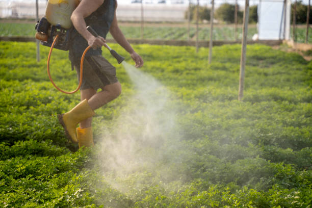 Best Best Pest Control Companies  in East Ithaca, NY