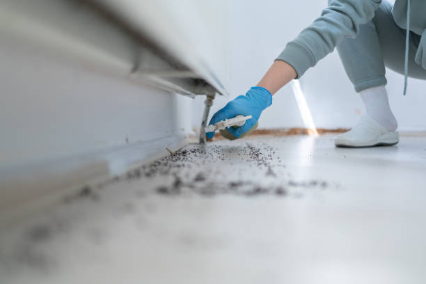 Professional Pest Control in East Ithaca, NY
